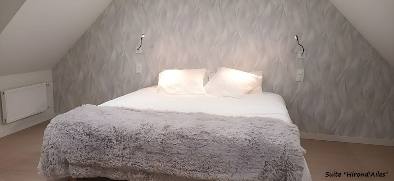 rsz_1hirondailes2©alalueurdespres