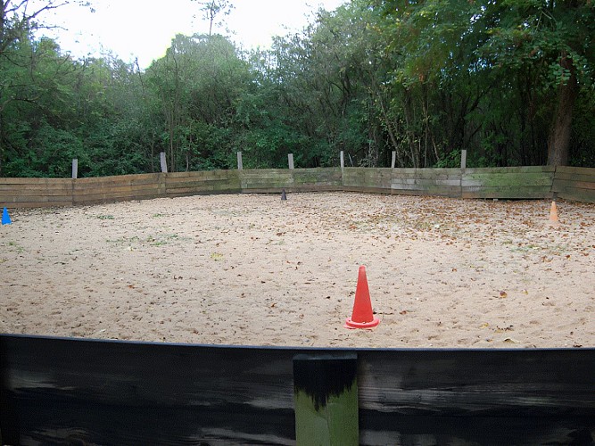 poneys-de-kathy-epaney-calvados-normandie (1)