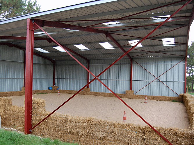 poneys-de-kathy-epaney-calvados-normandie (3)