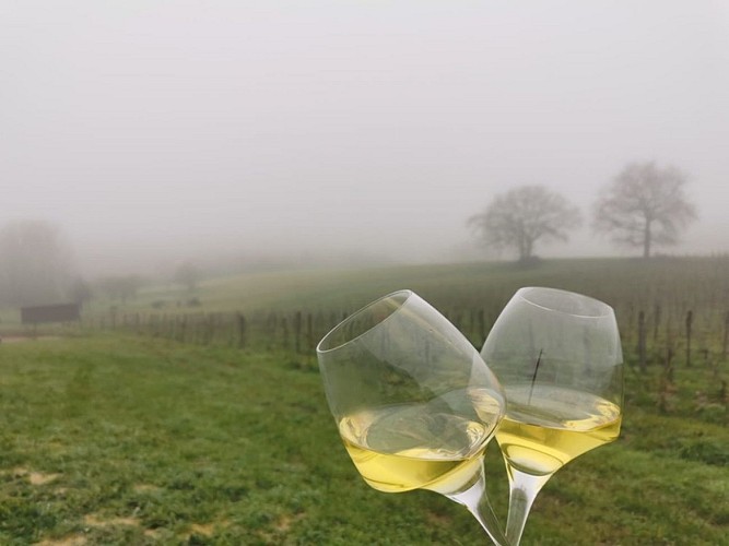 La Grange de Caubon - vin blanc