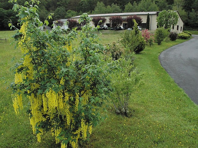 APIFLOR : biscuiterie artisanale