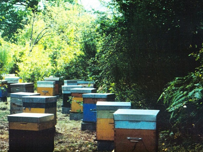 La maison du miel et des plantes