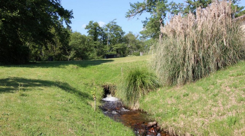 Gîte LABORY - jardin