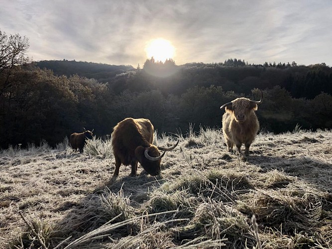 481659462_122094454772794030_5620822291283292339_n