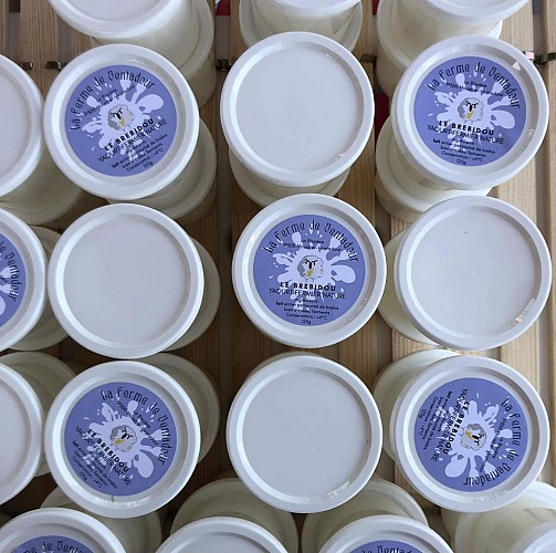 481778566_122094462338794030_1288635348915843964_n (1)