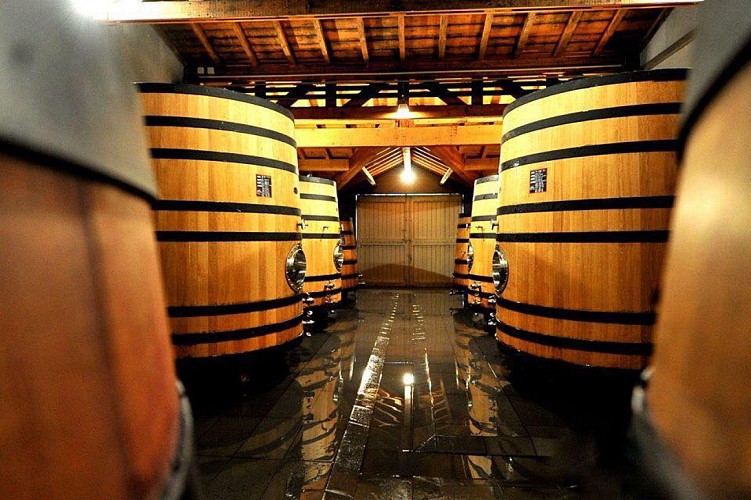 310592891_642526770905790_4494588694500313410_n