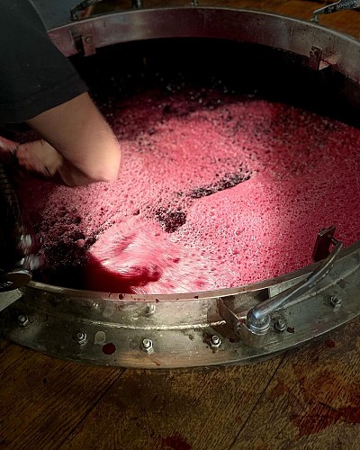 307872682_2761056280704697_7788002504649461019_n