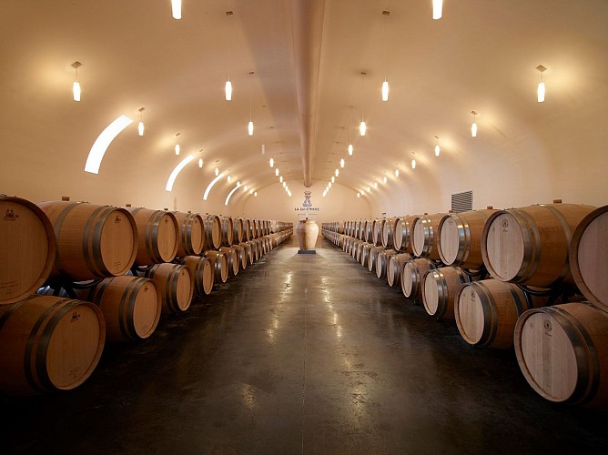chais à barriques Château de la Dauphine