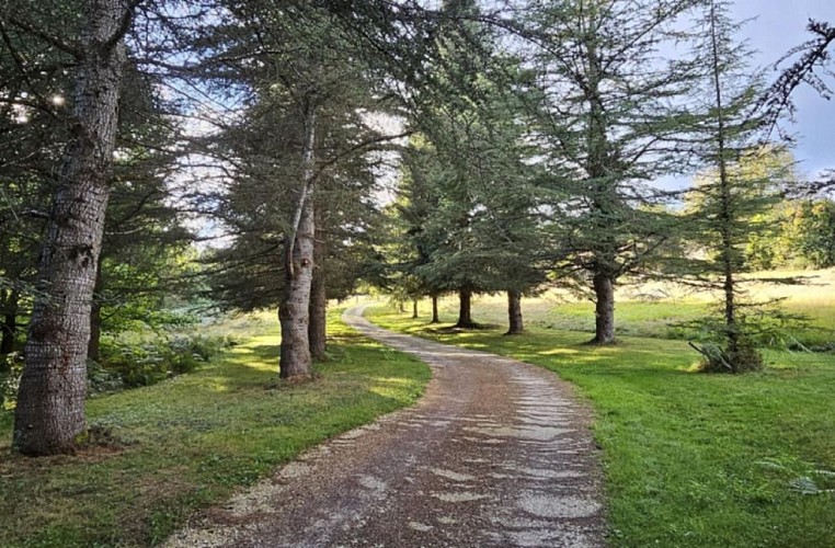 Gîte Baliste - Chemin