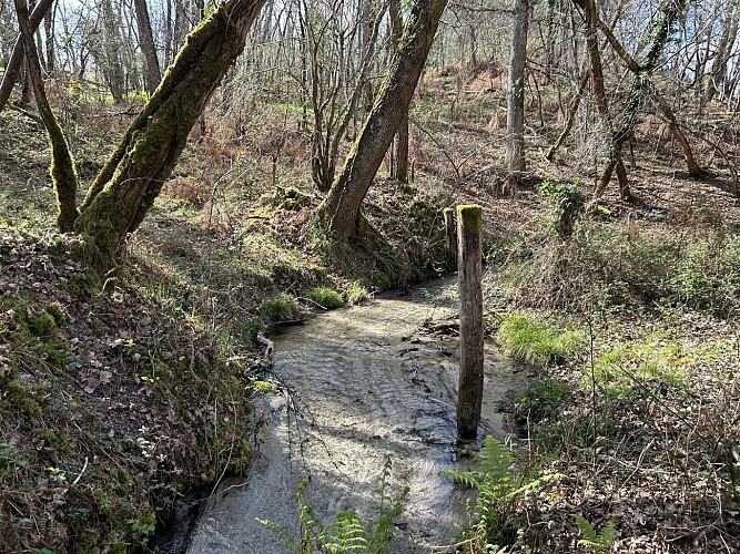 2025 - ARUE - La Grange de Routgé - A proximité - ©M. DESCAT (3)