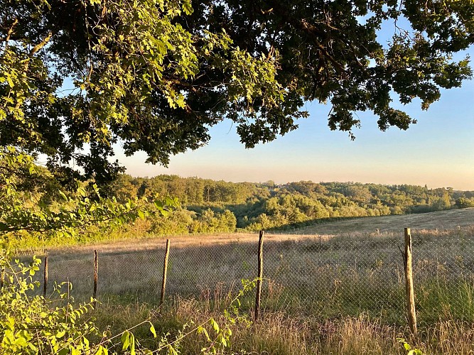 (5) 2025 - BETB - Domaine de Bourgade - Vue sur forêt - ©Mme COLIER Corinne