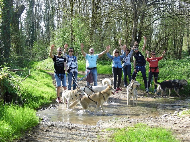 Cani-randonnée à Cherveux