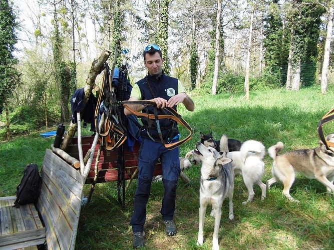 Présentation activité cani-randonnée