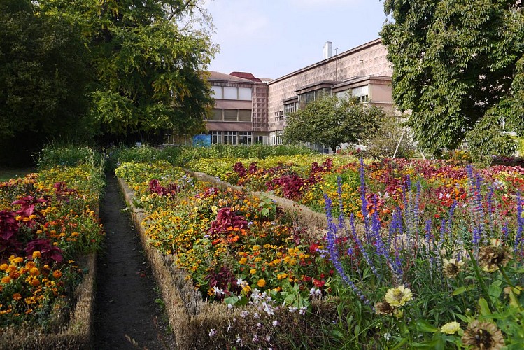 Jardin Dominique Alexandre Godron