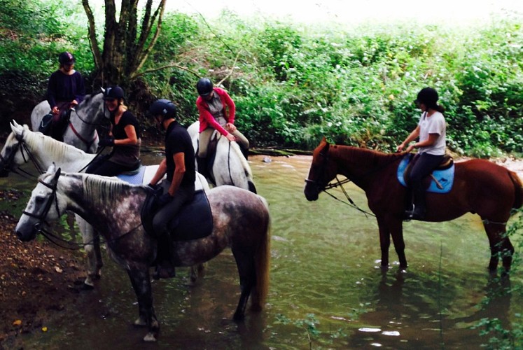 Le Cavaletti Nivernais