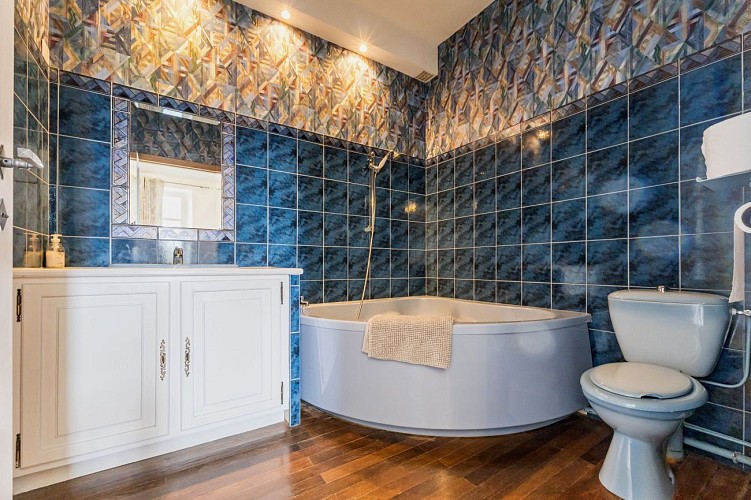 Château de la Vignauderie