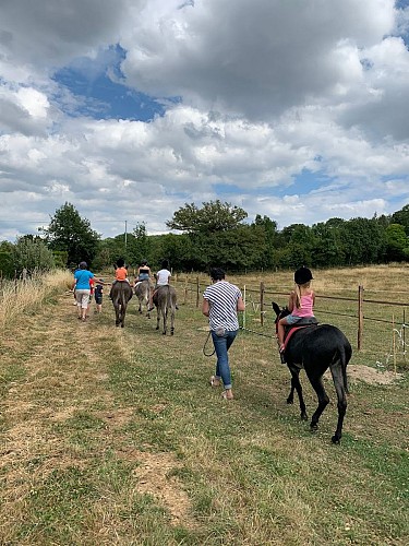 L'Asinerie de la Vioune