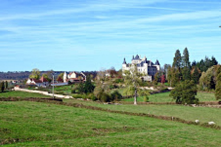 Château de Puy-Guillon