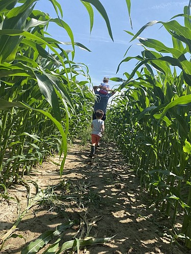 Glaces Alliait - GAEC La Laitière