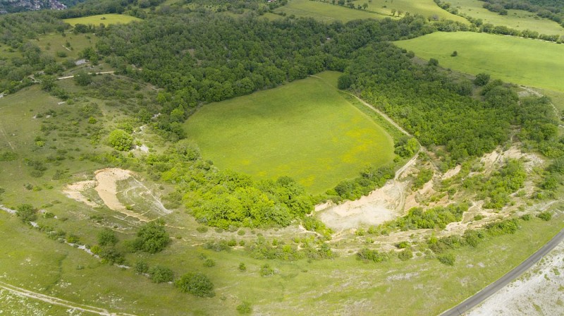Les dolines et la végétation