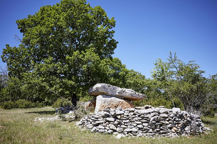 Dolmen de Combes hautes