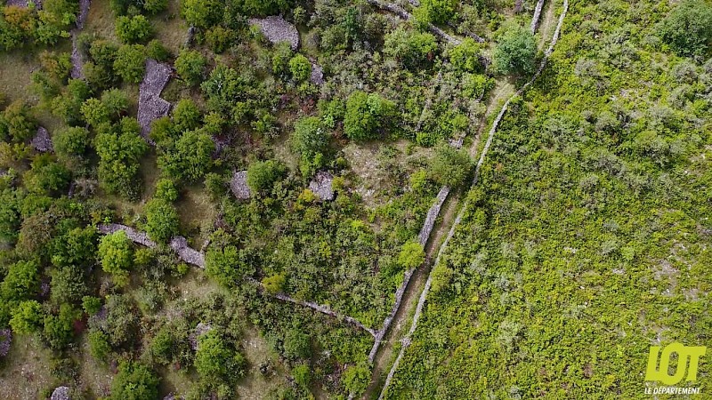 Un terroir modelé par d'anciennes pratiques agraires
