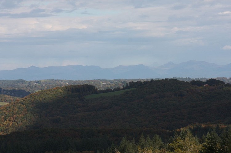 Point de vue sur les Monts du Cantal