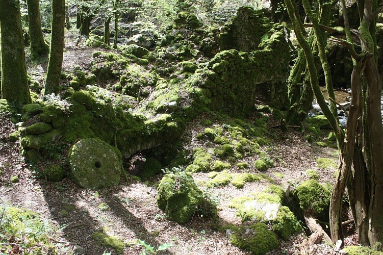 Moulin de Monfreu
