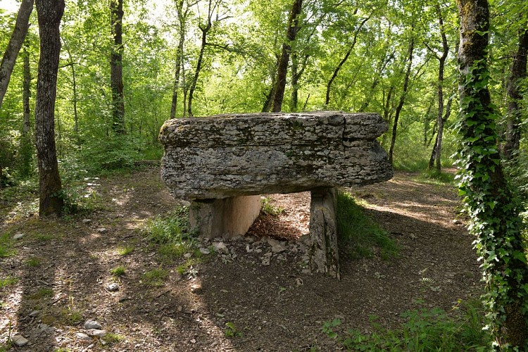 Dolmen de Pech Lapeyre