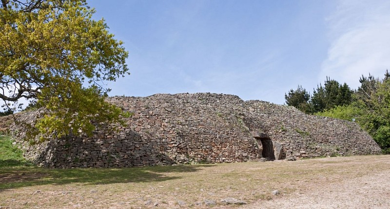 Le dolmen de Barrière 1