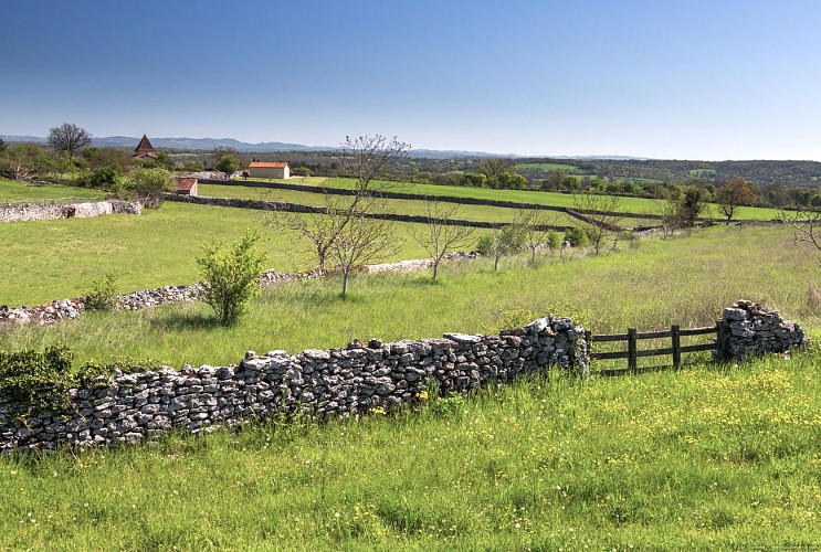 Entre Causse et Limargue