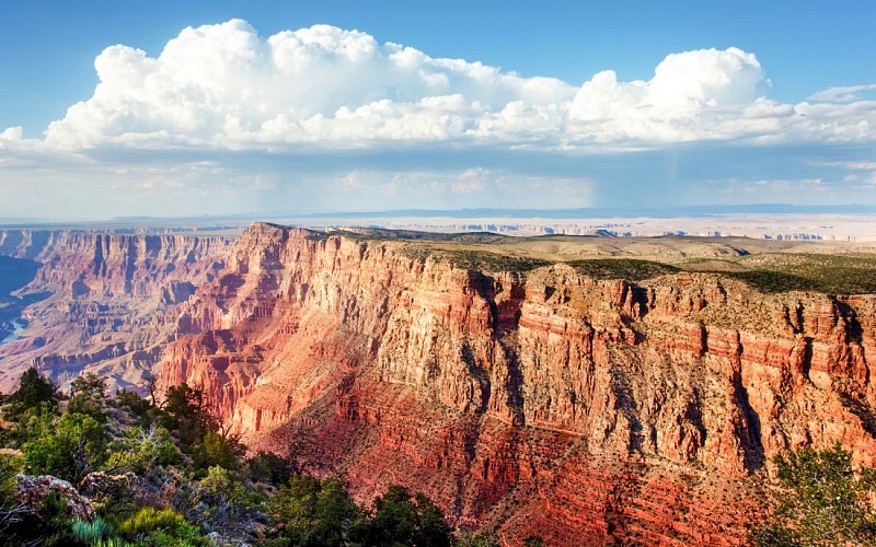 120-min Grand Canyon National Park Hummer Tour