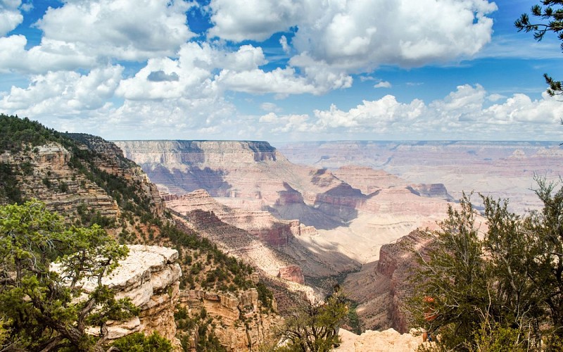 120-min Grand Canyon National Park Hummer Tour