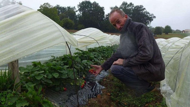 Brown Cream and Peach Modern Chic Personal Wall Calendar (1920 x 1080 px) - 1