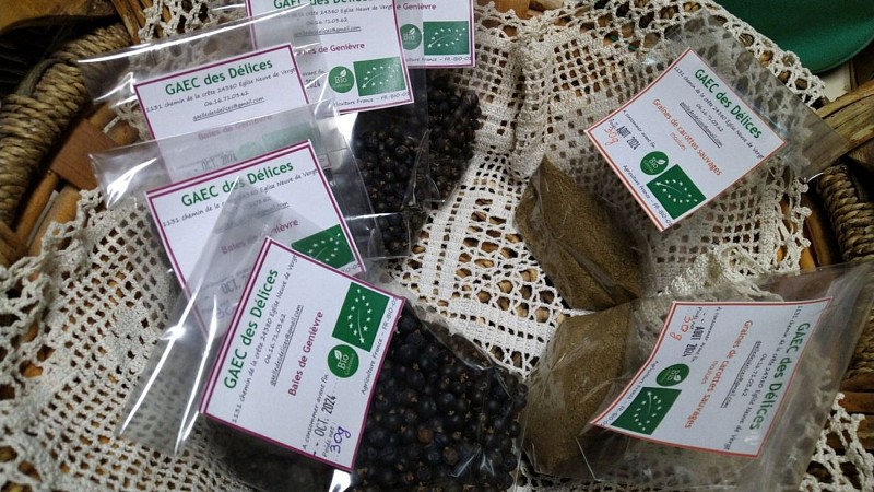 Brown Cream and Peach Modern Chic Personal Wall Calendar (1920 x 1080 px) - 2