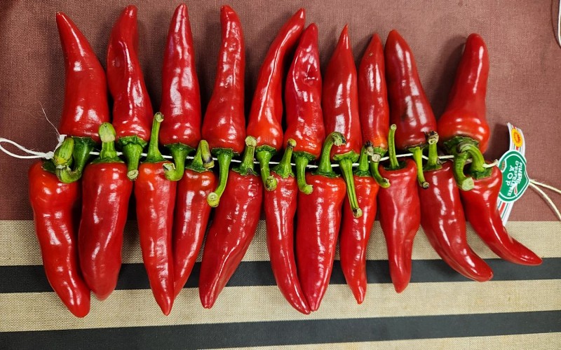 20231121_153530 - 2024@Kultur Piments