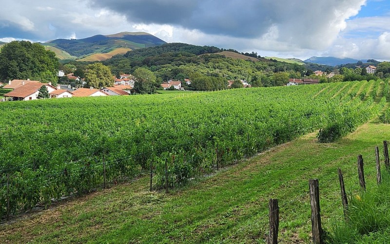 20230913_163415 - 2024@Kultur Piments