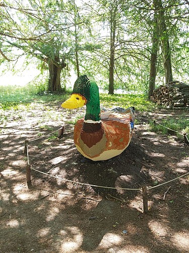 Chateau_de_Monthoiron_Parcours_d_enigmes (3).jpg_5