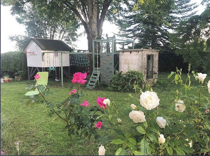 Michy 6