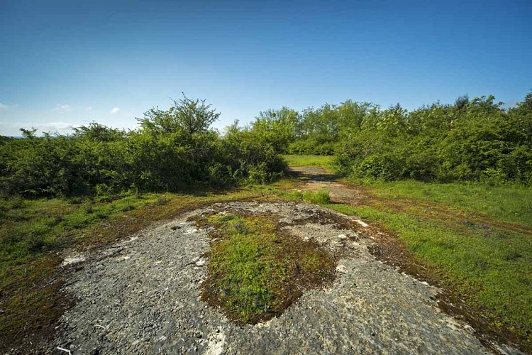 Espace Naturel Sensible Communaux de Trept