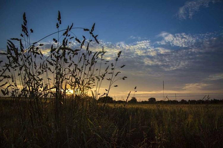 Espace Naturel Sensible Communaux de Trept