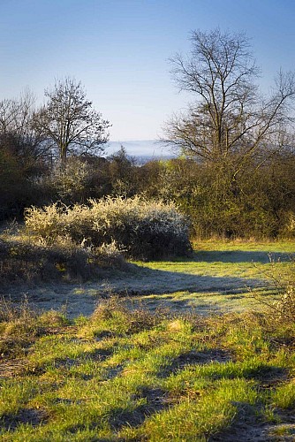 Espace Naturel Sensible Communaux de Trept
