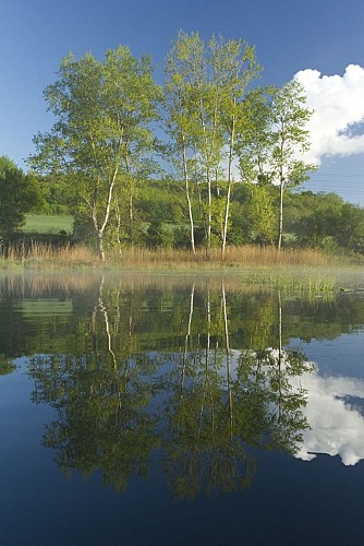 Etang de Bas et Falaises de Ravières Sensitive Natural Area