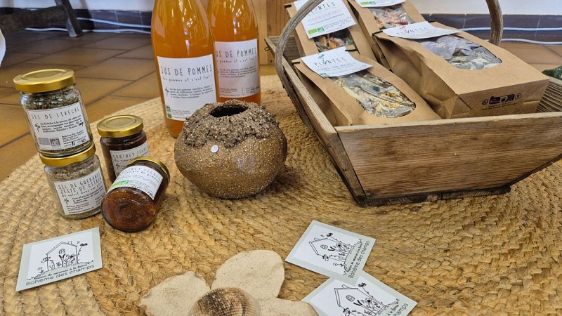 Brown Cream and Peach Modern Chic Personal Wall Calendar (1920 x 1080 px) - 3