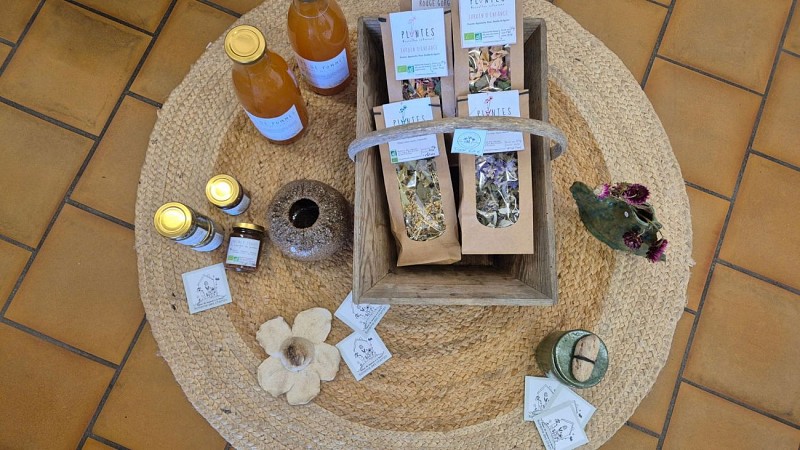 Brown Cream and Peach Modern Chic Personal Wall Calendar (1920 x 1080 px) - 2