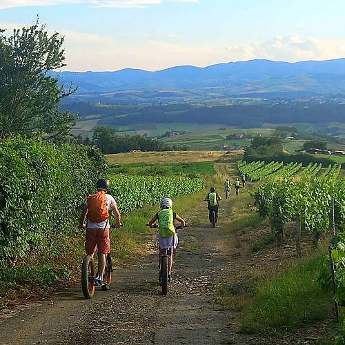 Electric scooter ride, tasting: La Mâchonnaise