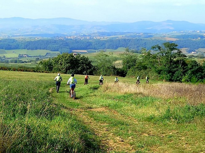 Balade en trottinette électrique, dégustation : la Mâchonnaise