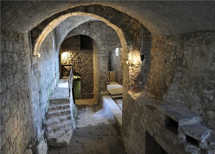Forteresse du vieux Chatel-sur-Moselle