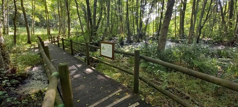 Parc naturel de Trousse-Bois
