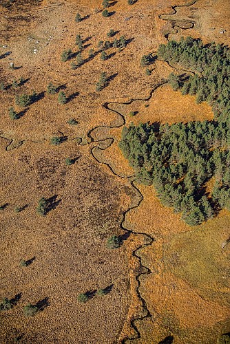LongeyrouxAerienne-PlateaudeMillevaches©ChrisBogaerts